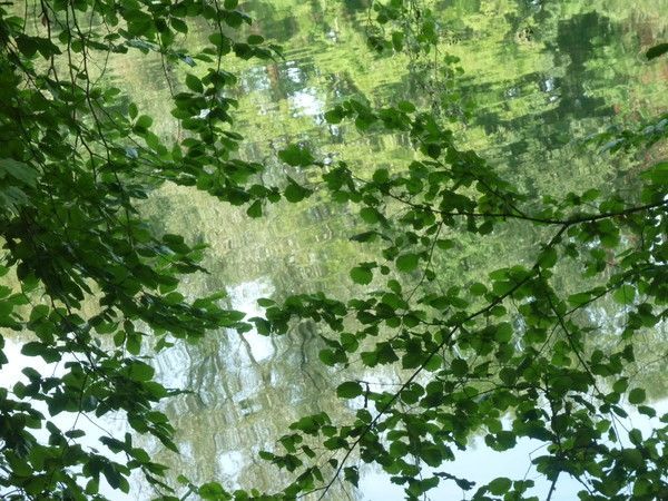 reflet
