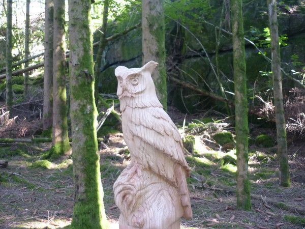 c'est chouette dans les bois