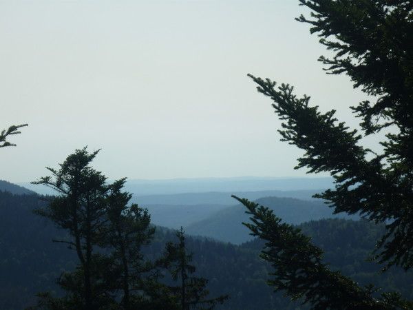 dans les Vosges
